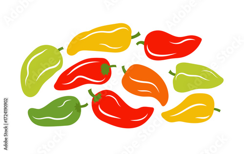 Bunch of green, yellow and red sweet peppers. Color vector illustration isolated on white background.