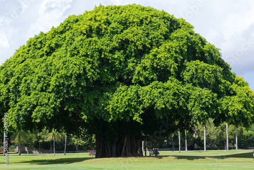 Coral Gables è una parte consolidata della più ampia area metropolitana di Miami, nel sud della Florida.