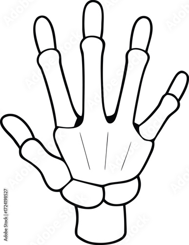 White Skeleton Hand with Bony Fingers on Transparent Background