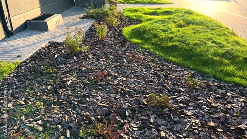 Pine bark for mulching soil on lawn in landscape design. Pine bark mulch plants at sidewalk in urban spaces. Composted Bark. Ornamental mulch for landscaping. Shrubs planting in city street.