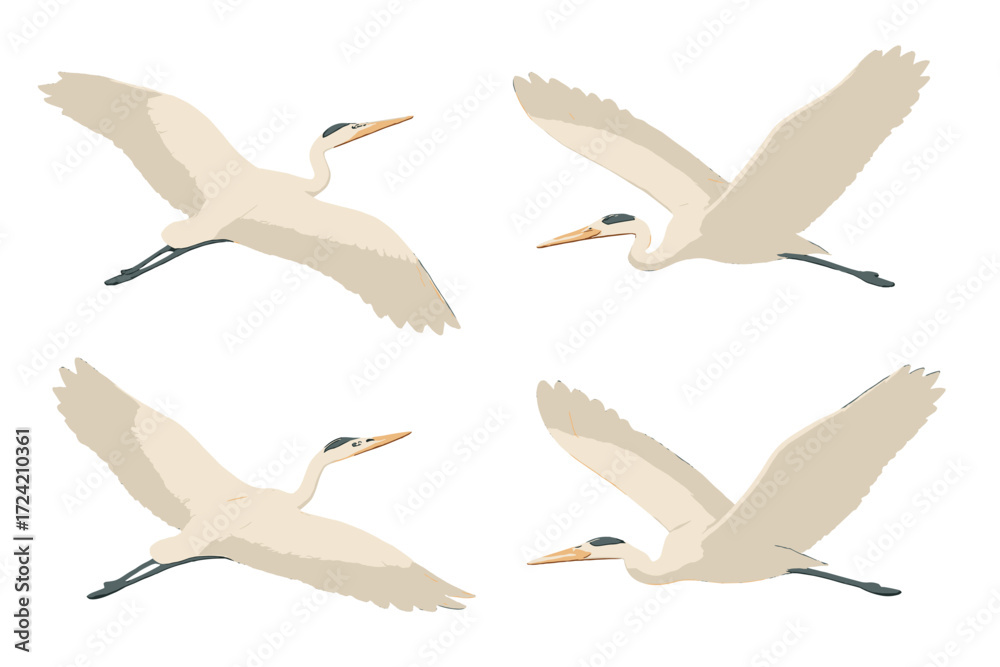 Obraz premium Heron Soaring Elegance. Isometric vector illustration set avian wing span soar: heron wings extended, gliding body posture, long