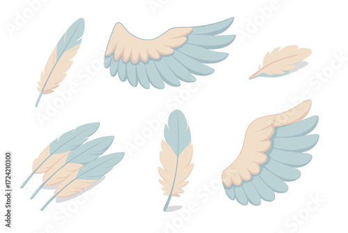 Feather and Wing Collection. Isometric vector illustration set feather flight wing molt: quill feather floating, spread eagle wing