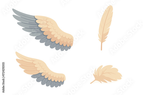 Feathered Wing Anatomy. Isometric vector illustration set feather flight wing molt: bird wing structure, long flight feathers,
