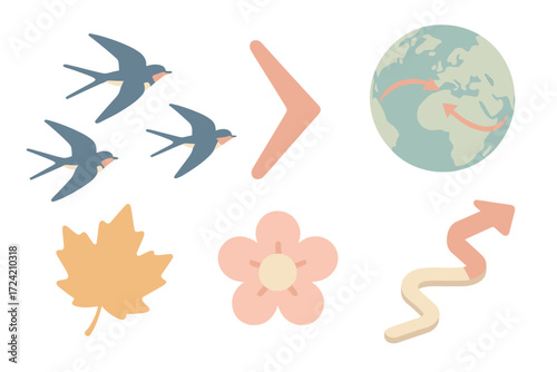 Swallow Migration Journey. Isometric vector illustration set migration route flock season: flock of swallows flying, arrow
