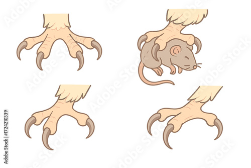 Owl Talons Grip. Isometric vector illustration set talons grip prey capture: owl talons spread, rodent prey captured, detailed