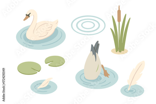 Tranquil Pond Life. Isometric vector illustration set waterfowl pond swim dive: swan swimming calmly, curved water ripples, bird