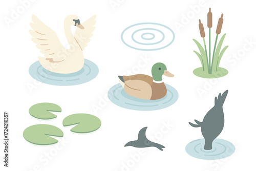 Waterfowl Pond Serenity. Isometric vector illustration set waterfowl pond swim dive: swan spreading wings, duck paddling gently,