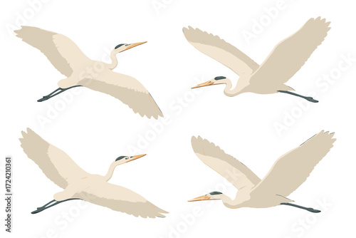 Heron Soaring Elegance. Isometric vector illustration set avian wing span soar: heron wings extended, gliding body posture, long