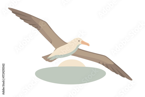 Avian Wings Soaring. Isometric vector illustration set avian wing span soar: albatross wings wide open, gliding sea horizon, long