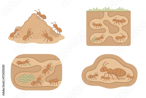 Ant Colony Teamwork. Isometric vector illustration set ant colony tunnel teamwork: ants building soil mound, connected underground