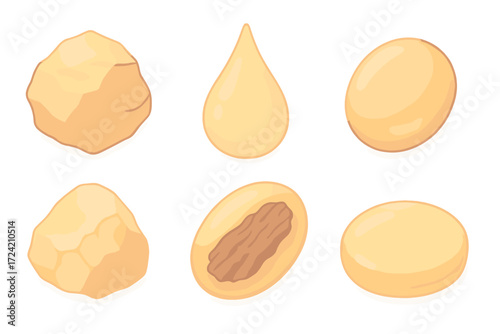 Natural Amber Varieties. Isometric vector illustration set Natural amber forms: raw amber nugget, translucent resin drop, polished