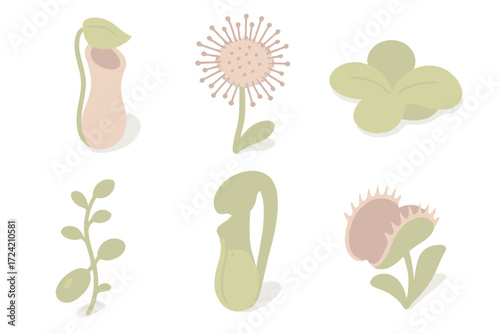 Carnivorous Plant Icons. Isometric vector illustration set Carnivorous plant collection: pitcher plant tubular trap, sundew sticky