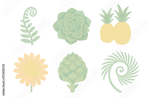 Fibonacci in Flora. Isometric vector illustration set Fibonacci in plants: fern frond spiral, succulent rosette pattern,