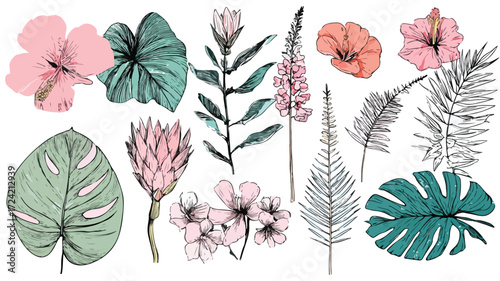 Exotic Tropical Plants and Flowers Vector Collection for Vibrant Design Projects