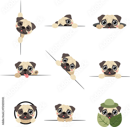 Cute Pug Dog Set with Different Poses