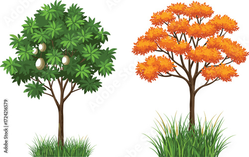 Tropical green fruit tree with calabash gourds, orange autumn tree with colorful foliage, seasonal nature landscape, exotic botanical garden illustration.