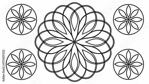 Intricate floral mandala patterns decorative abstract organic symmetry graphic design elements