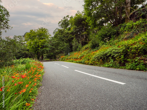 A winding country rural road with a lot of trees and flowers on the side. The road is lined with a white line and is surrounded by a lush green forest. Top high quality asphalt surface