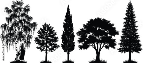 Set of five tree silhouettes with varied shapes including weeping, conical, and spreading canopies, vector icons for nature and landscape design