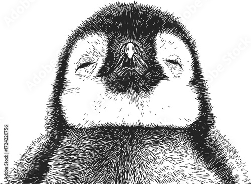 Penguin chick sketch, hand drawn, close up face with closed eyes — stock vector