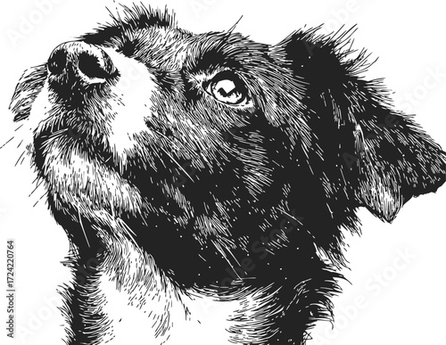 Dog sketch hand drawn portrait looking up, detailed black and white illustration — stock vector