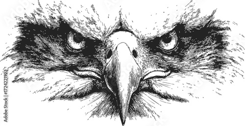 Eagle face sketch hand drawn close up with intense eyes and detailed feathers — stock vector