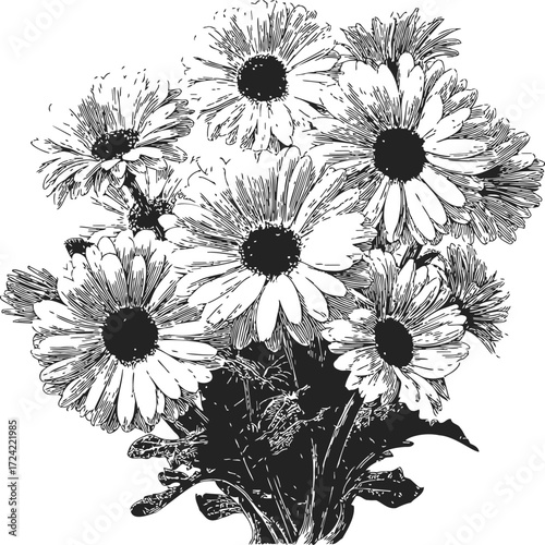 Daisy bouquet sketch hand drawn detailed black and white floral illustration — stock vector