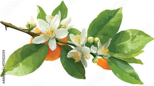 Vibrant Fresh Orange Blossom on Orange Branch