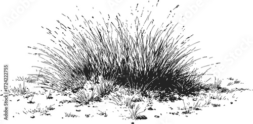 Grass clump sketch, hand drawn wild tuft with scattered blades and ground details — stock vector