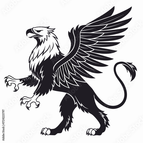 eagle vector illustration