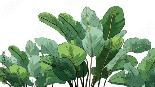 Vibrant Tropical Plants with Lush Green Leaves for Nature and Botanical Concepts