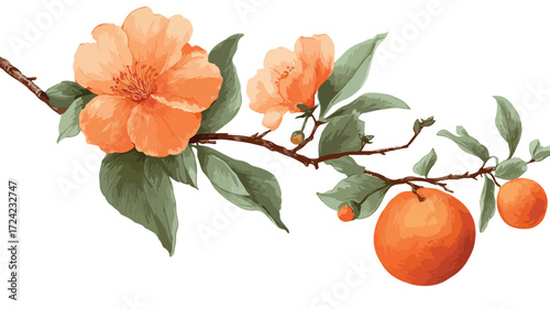 Bright Orange Flower Blossom on Twig with Whole Orange Aesthetic
