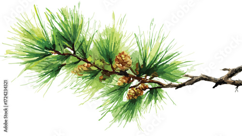 Elegant Watercolor Pine Branch Vector Illustration for Design Projects