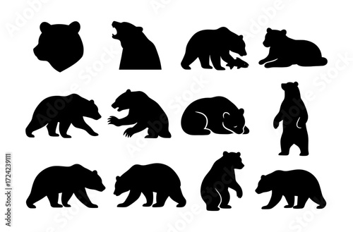 Bear silhouettes collection: standing, walking, and roaring poses in black