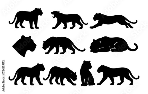 Collection of panther and leopard silhouettes in various poses on white background