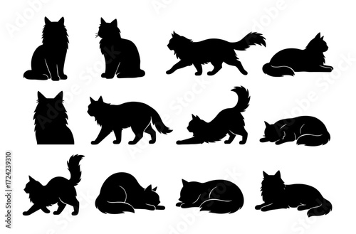 Silhouette cat collection: elegant feline poses in black