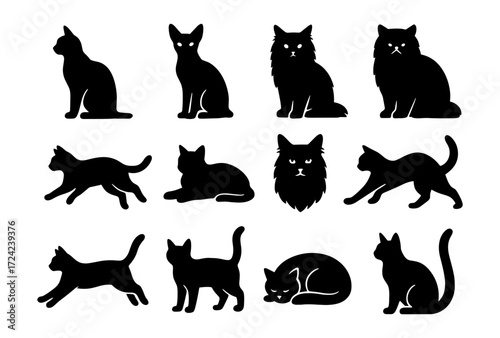 Set of cat silhouettes in various poses featuring different breeds