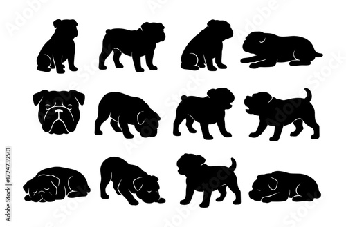Silhouette collection of cute bulldog poses set on white background