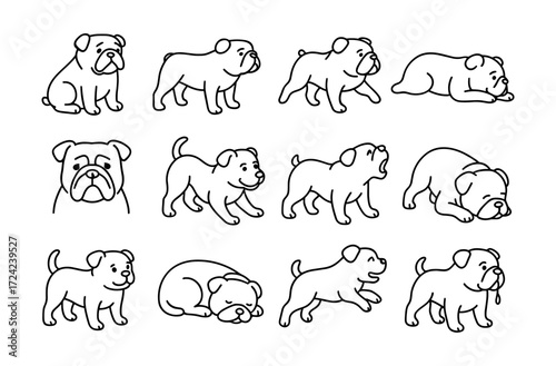 Adorable bulldog sketch set: playful poses and expressions for dog lovers