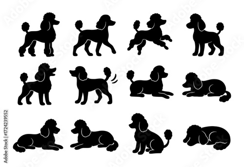 Silhouette poodle poses collection: elegant dog designs