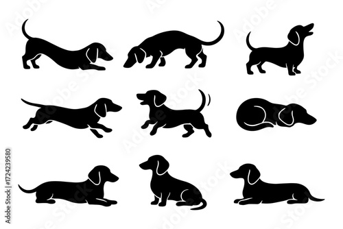 Silhouette of dachshund dogs in various poses with black silhouettes on white background