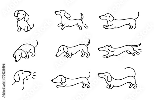Cute dachshund dog outline sketches in various poses