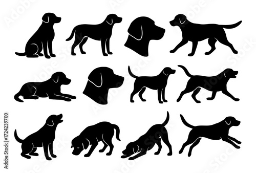 Canine silhouettes: playful dog poses in black silhouette art collection