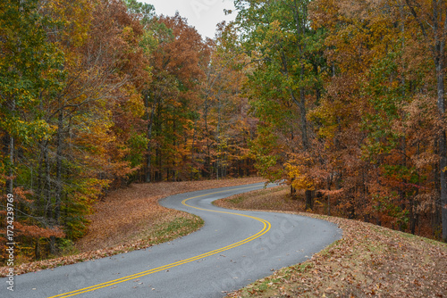 Scenic view of the Natchez Trace Parkway in autumn, with a curving two-lane road winding through colorful fall foliage in Tennessee. Peaceful, tree-lined route known for historic and natural beauty