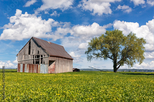 Bilde på lerret Scenic rural landscape with a rundown barn in northern Missouri countryside