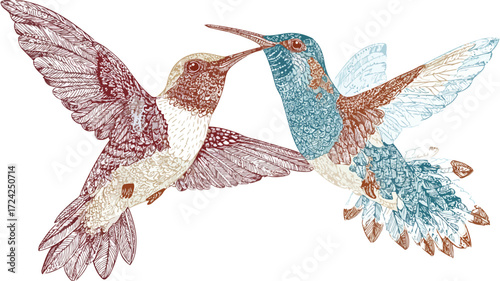 Boho Style Colibri Birds Wall Illustration