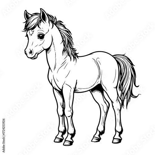 A foal with a long mane and tail., black and white sketch. Vector illustration. Funny animal with beautiful eyes, isolated on a white background