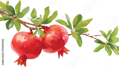 Fresh Pomegranate Fruit Hanging on Tree Branch - Nature's Bounty Harvest