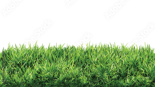 Vibrant Green Artificial Grass Vector Illustration for Landscaping Designs