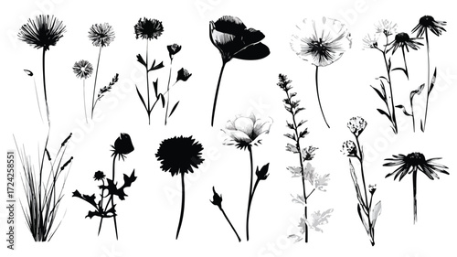 Vibrant Meadow Flowers Vector Set for Design Projects